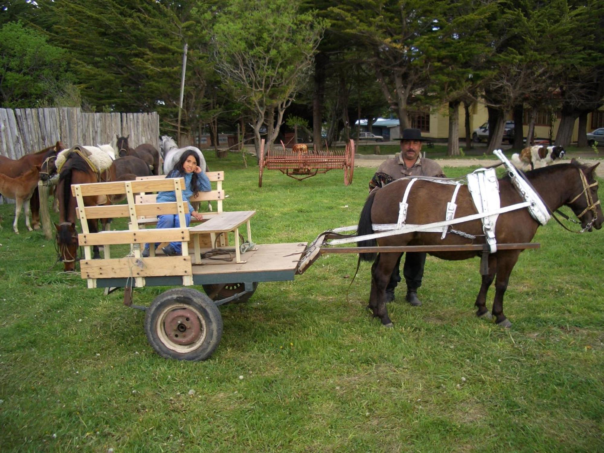 Estancia Rio De Los Ciervos Punta Arenas Eksteriør billede