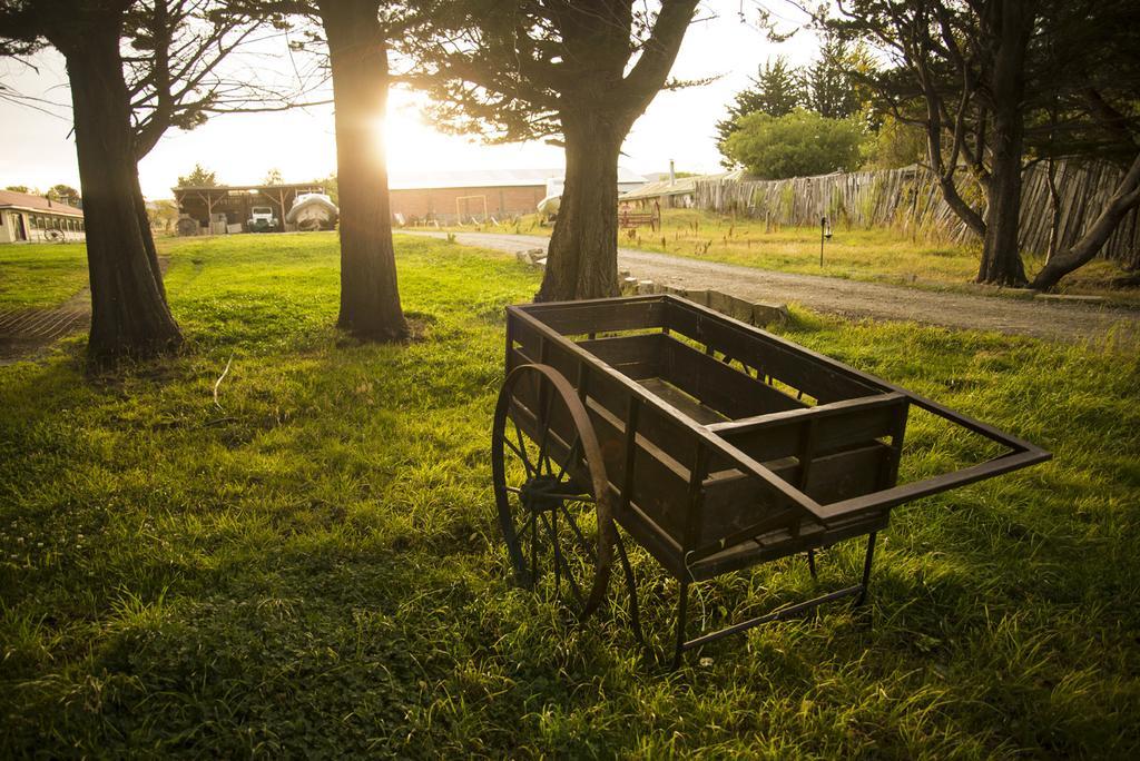 Estancia Rio De Los Ciervos Punta Arenas Eksteriør billede